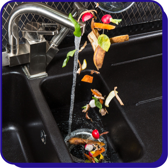 Garbage Disposal Repair